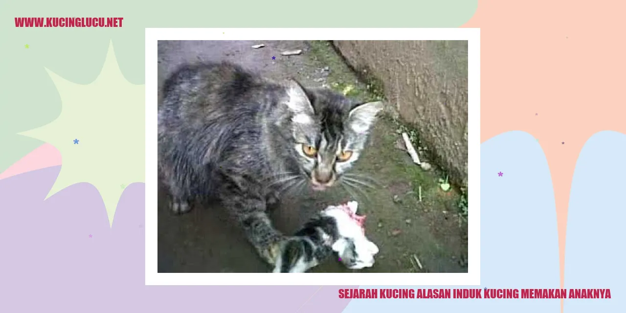 Kucing membawa anaknya