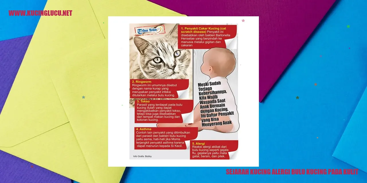 Gambar Kucing