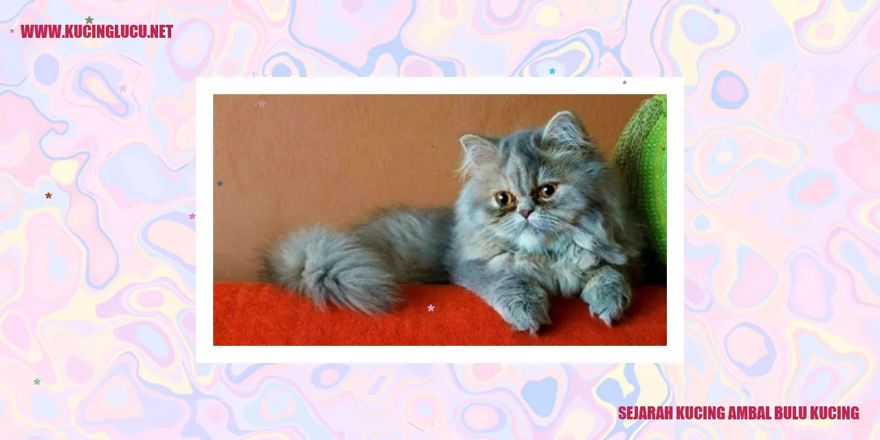 Gambar Kucing Ambal Bulu