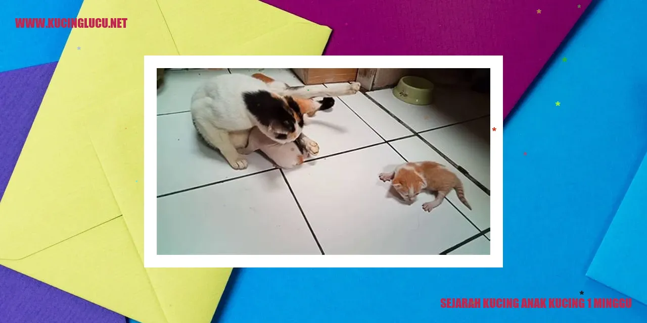 Sejarah Kucing Anak Kucing 1 Minggu