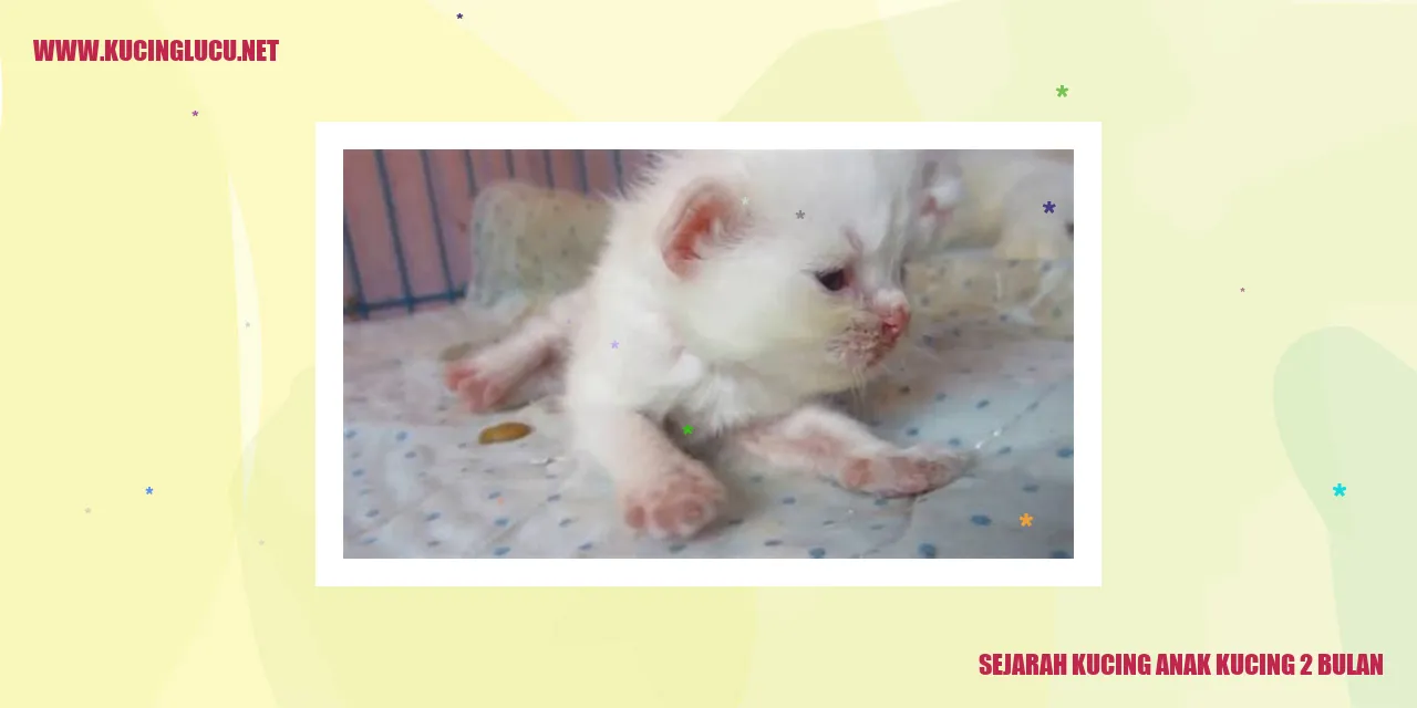 Gambar kucing menggemaskan