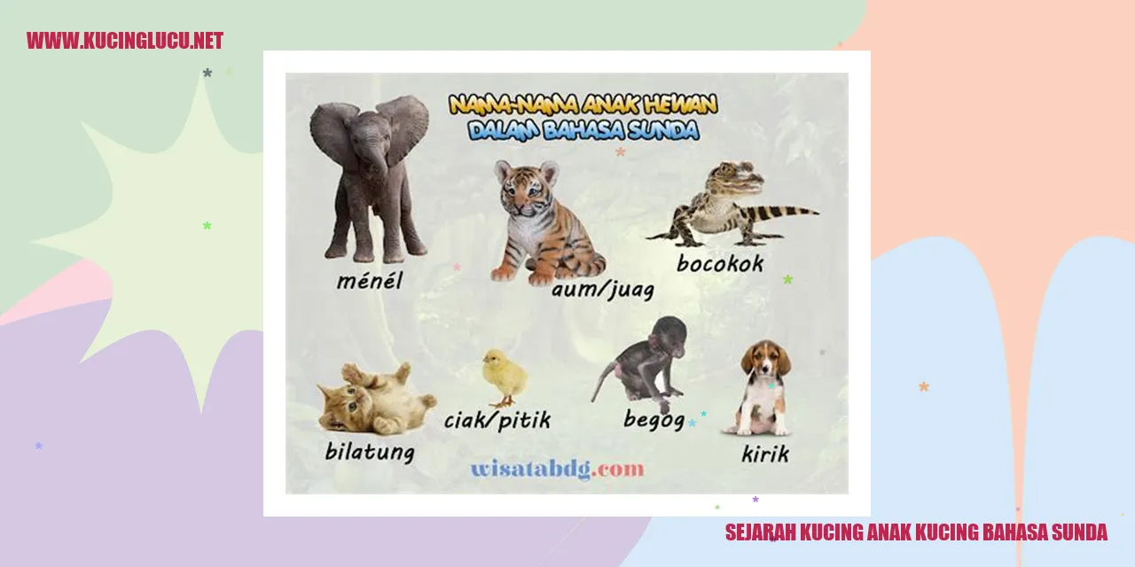 Gambar Kucing Anak Kucing Bahasa Sunda