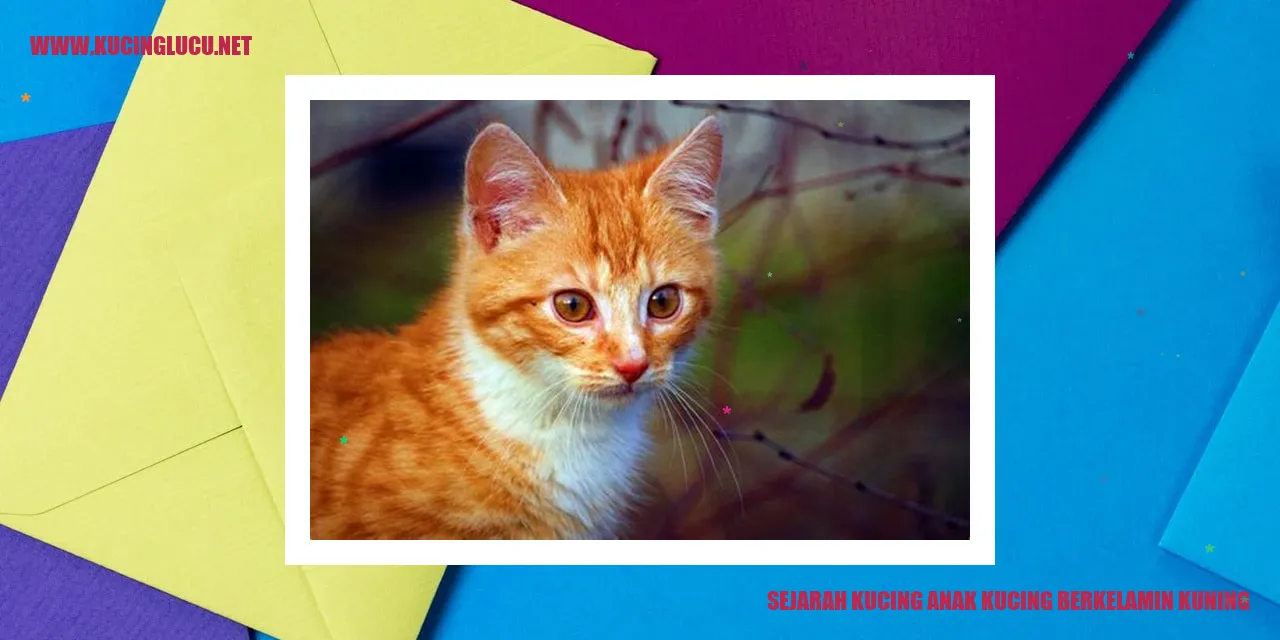 Kucing Berkelamin Kuning