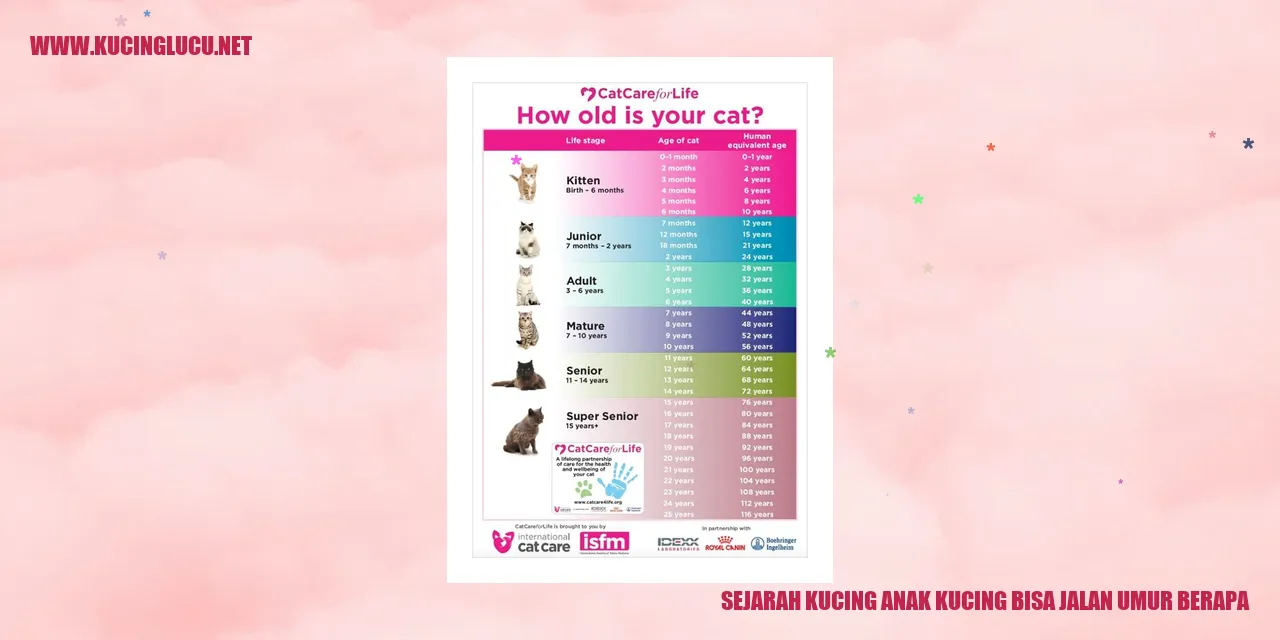 Growth and Walking Abilities of Kittens