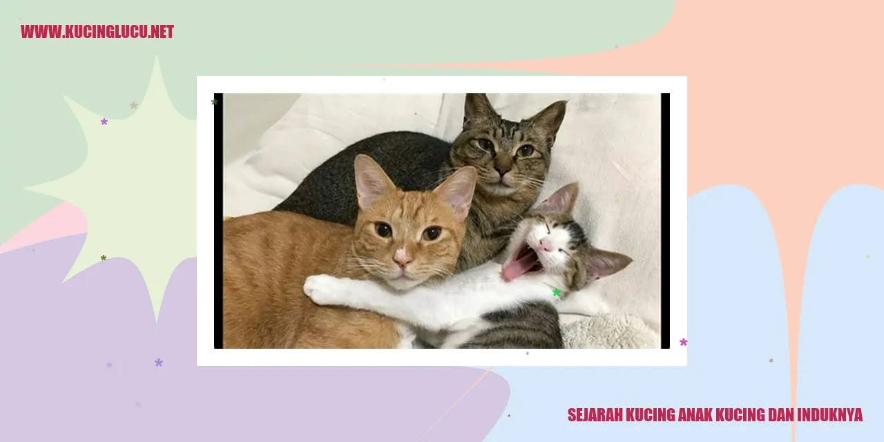 Gambar Kucing Induk dan Anaknya