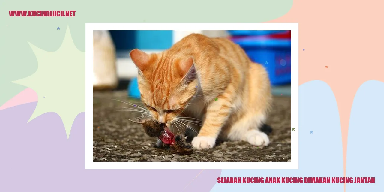 Seekor Kucing Sedang Menikmati Makanan