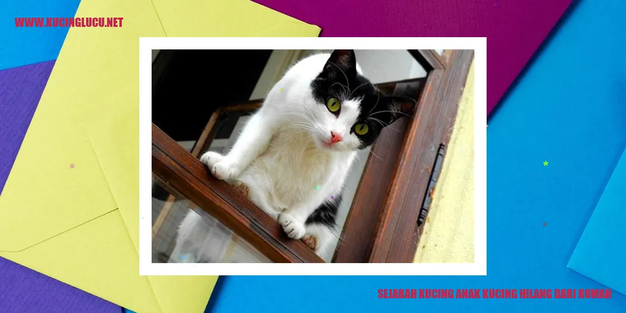 Kucing Anak Kucing yang Menghilang dari Rumah