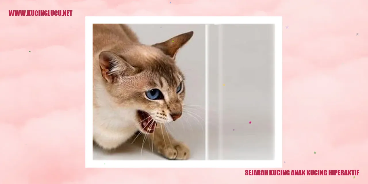Sejarah Kucing Anak Kucing Hiperaktif