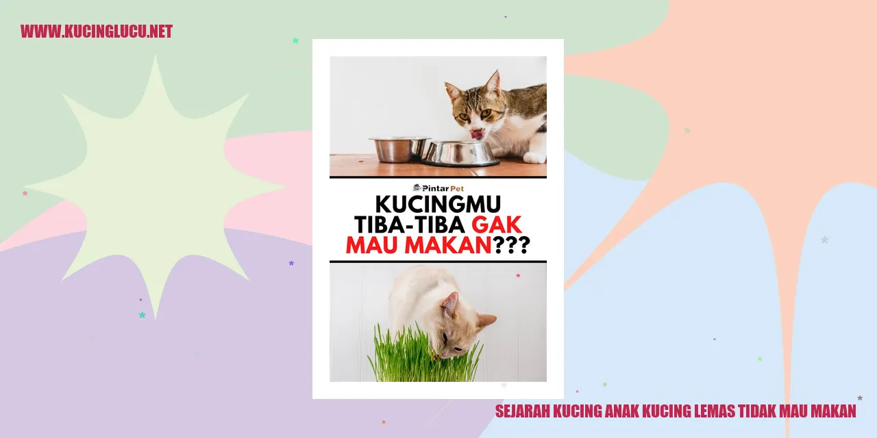Gambar ilustrasi: Anak Kucing yang Lemas dan Enggan Makan