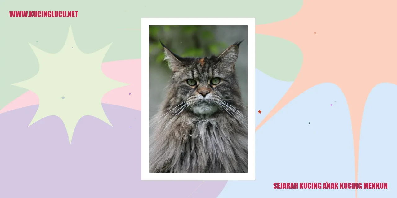 Sejarah Kucing Anak Kucing Menkun