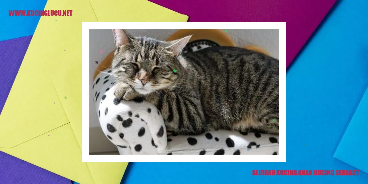 Kisah Kucing Mati Muda