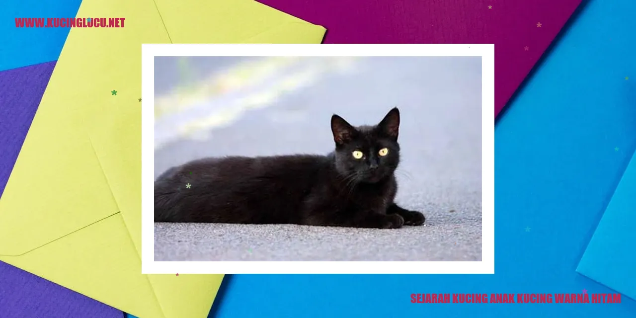 Kucing Berbulu Gelap