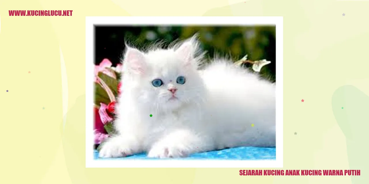 Kucing Anak Kucing Berwarna Putih