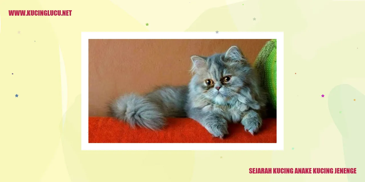 Gambar Kucing Jenenge