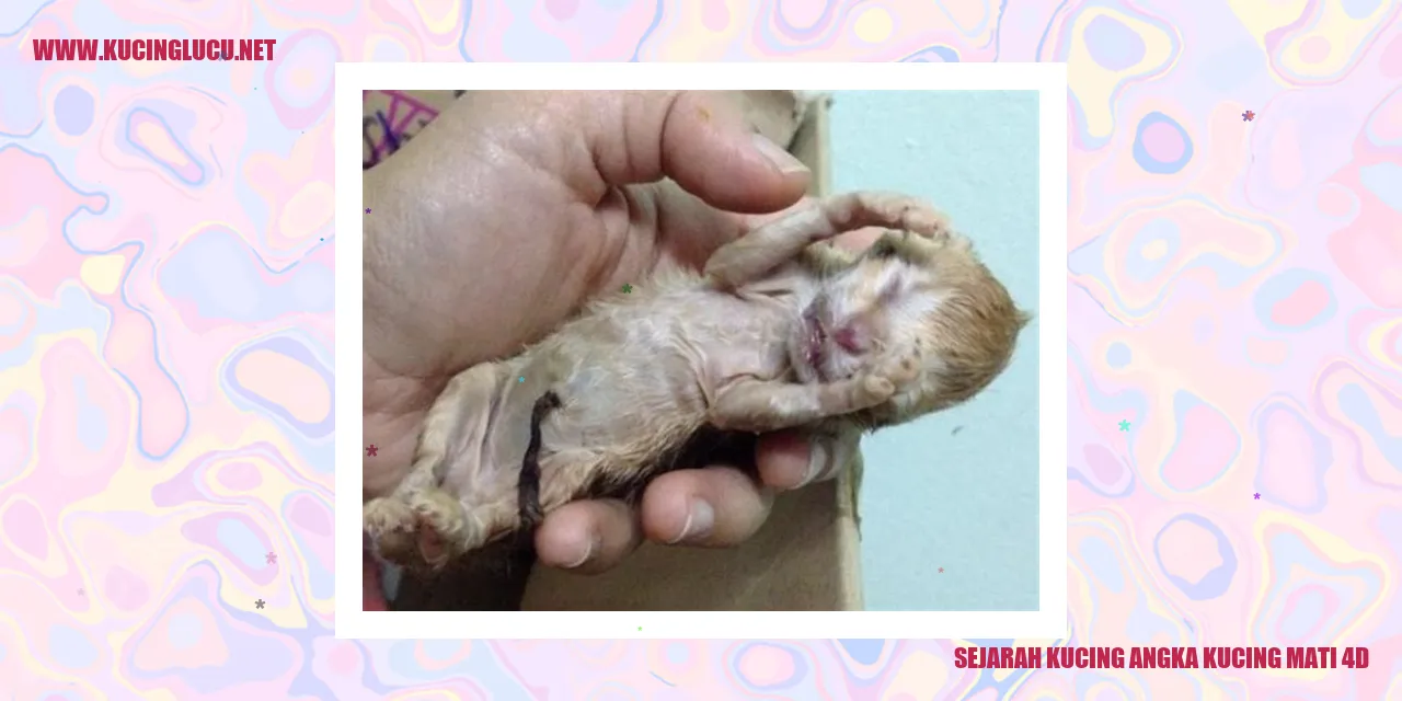 Pandangan menarik dari Kucing