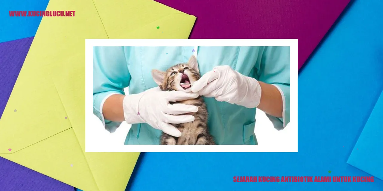 Sejarah Kucing antibiotik alami untuk kucing
