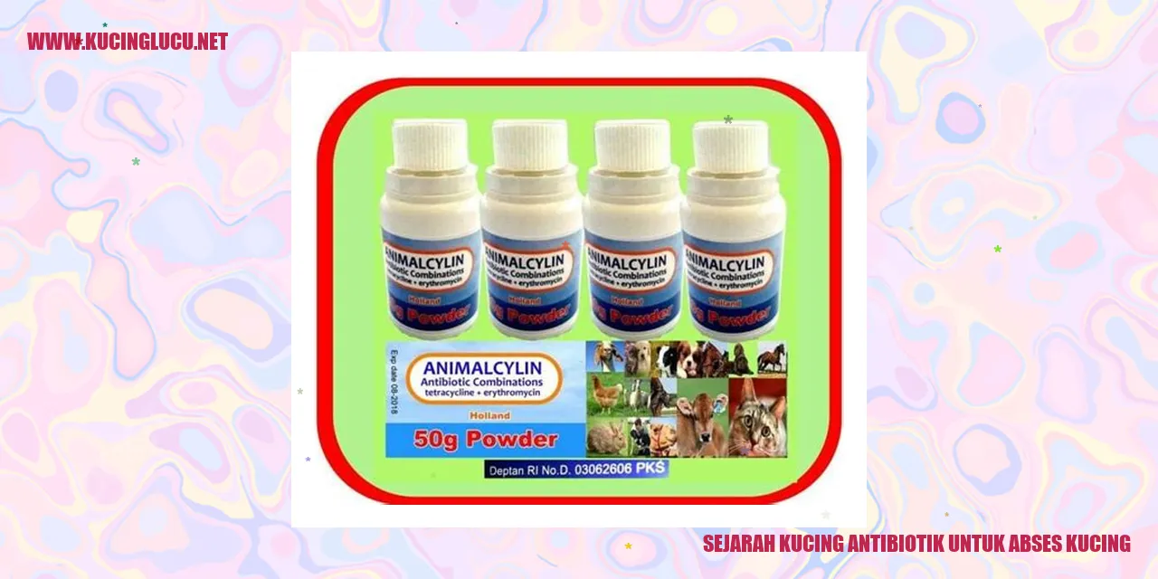 Kucing antibiotik untuk abses kucing