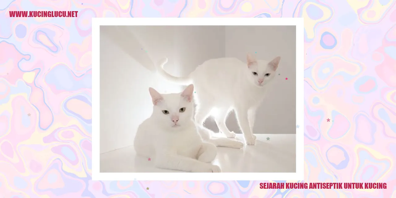 Gambar Kucing Antiseptik