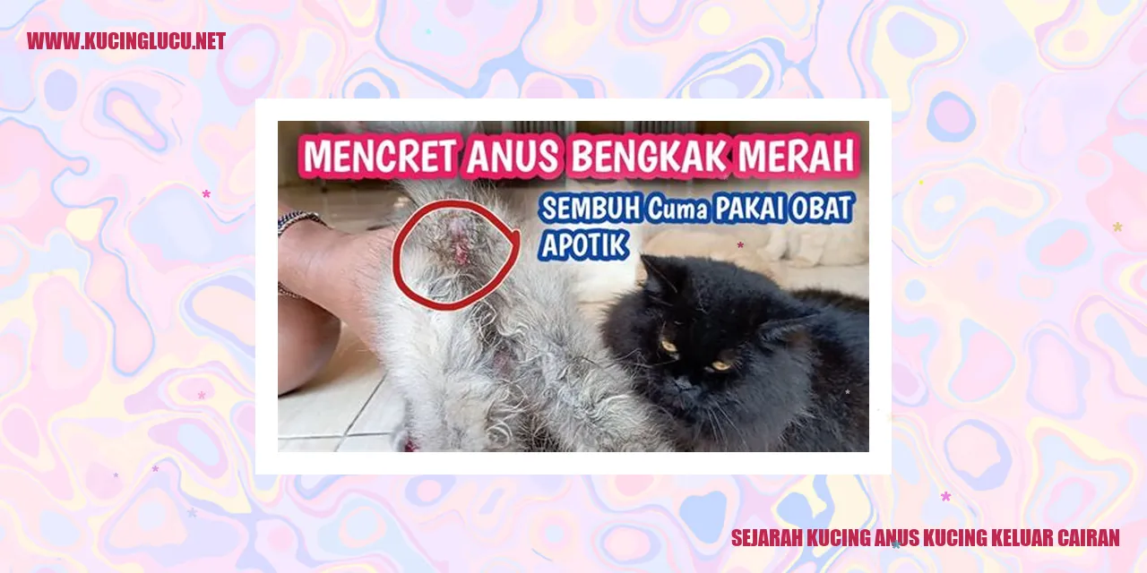 Sejarah Kucing anus kucing keluar cairan