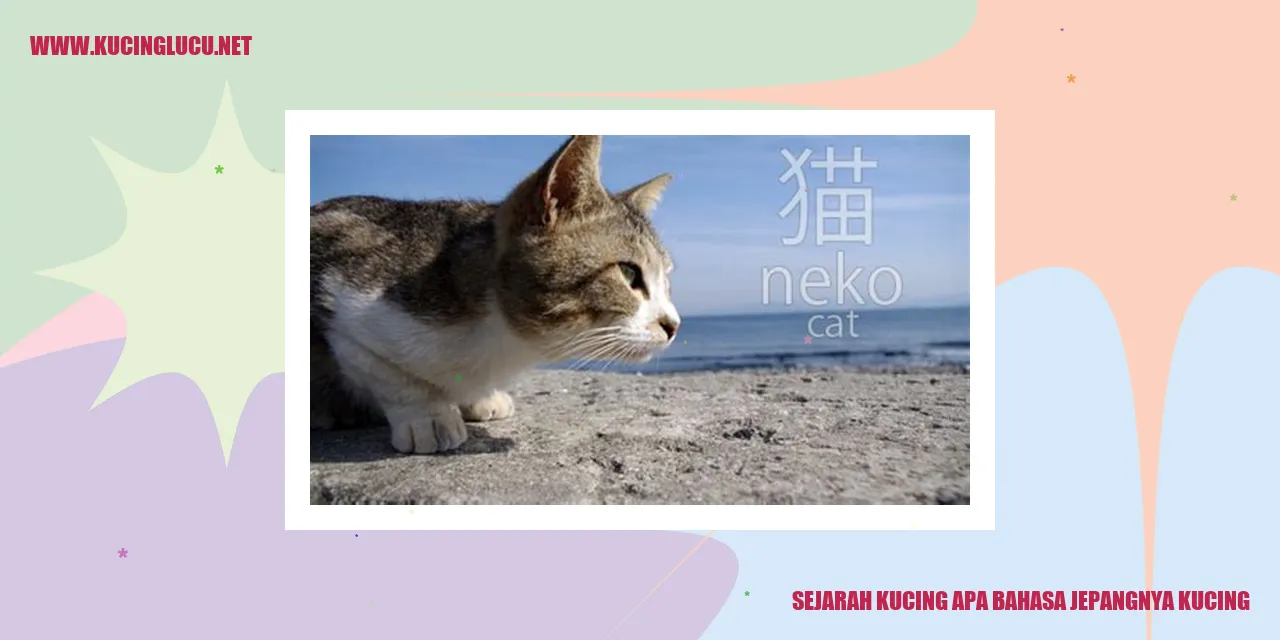 gambar kucing
