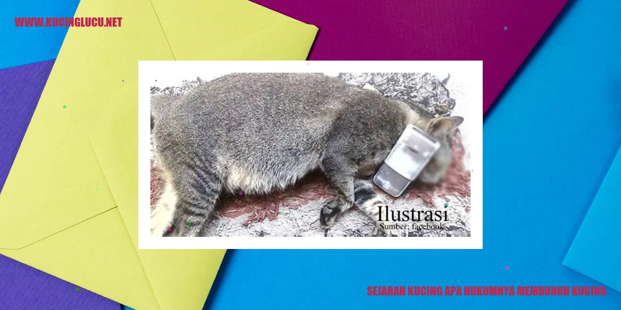 Gambar Sejarah Kucing dan Hukum Membahayakan Kucing