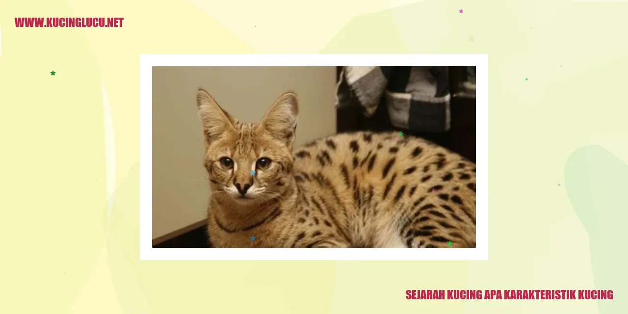 Gambar Kucing