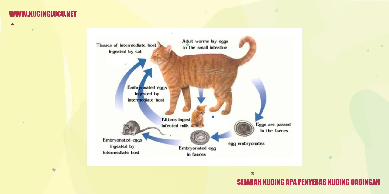 Sejarah Kucing dan Penyebab Kucing Cacingan