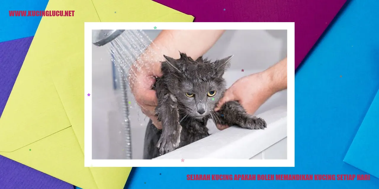 Sejarah Kucing