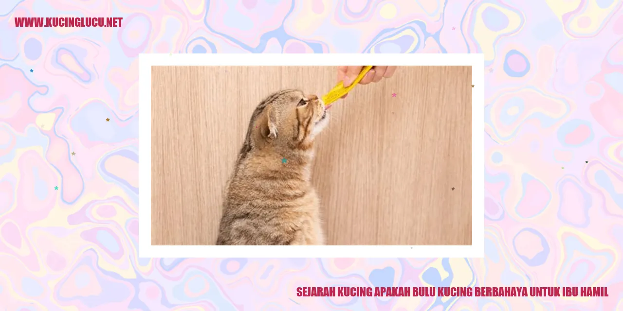 Ilustrasi kucing