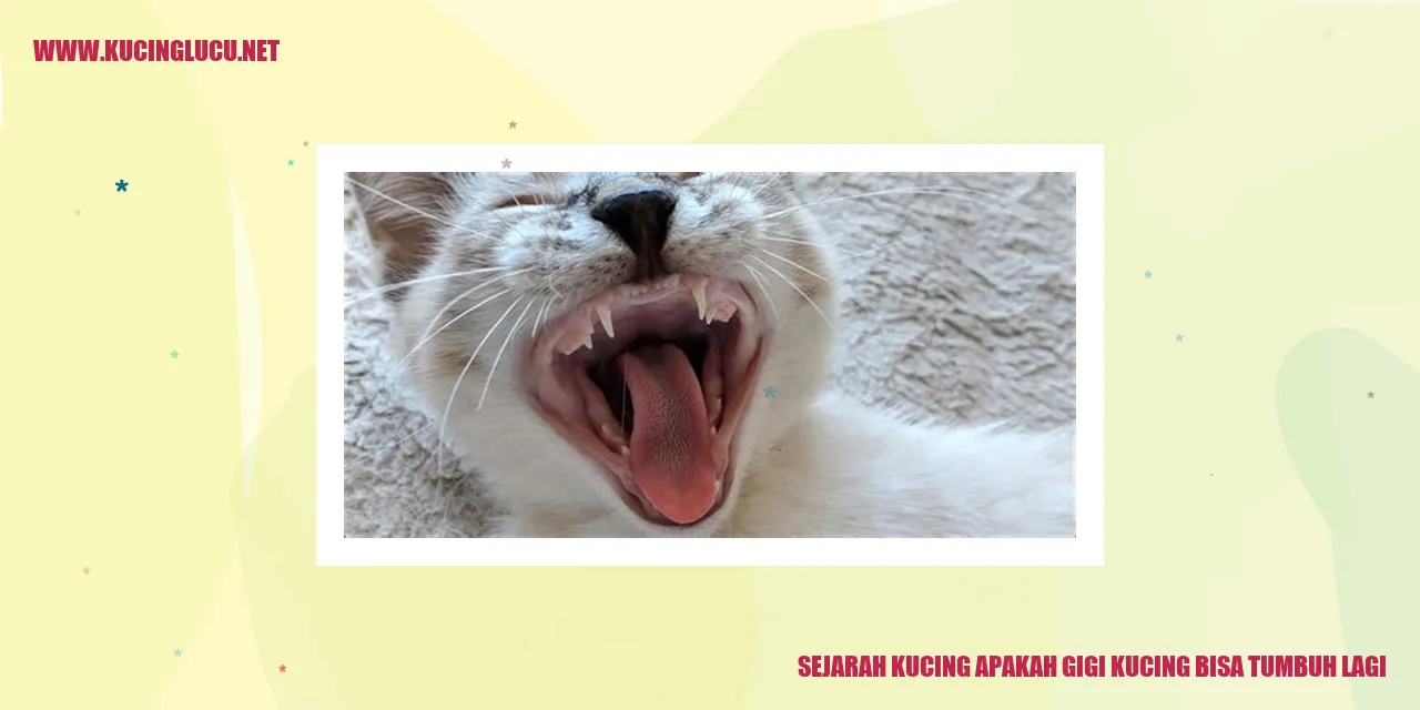 Sejarah Kucing apakah gigi kucing bisa tumbuh lagi