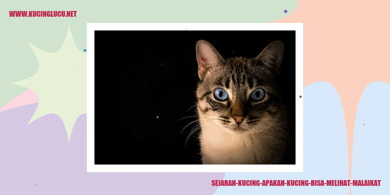 Sejarah Kucing