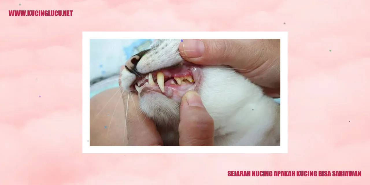 Sejarah Kucing dan Sariawan