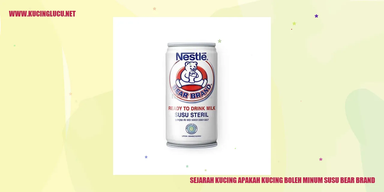 Sejarah Kucing