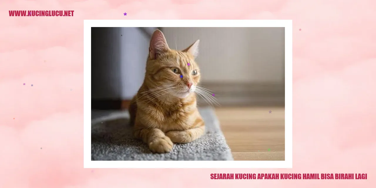 Sejarah Kucing