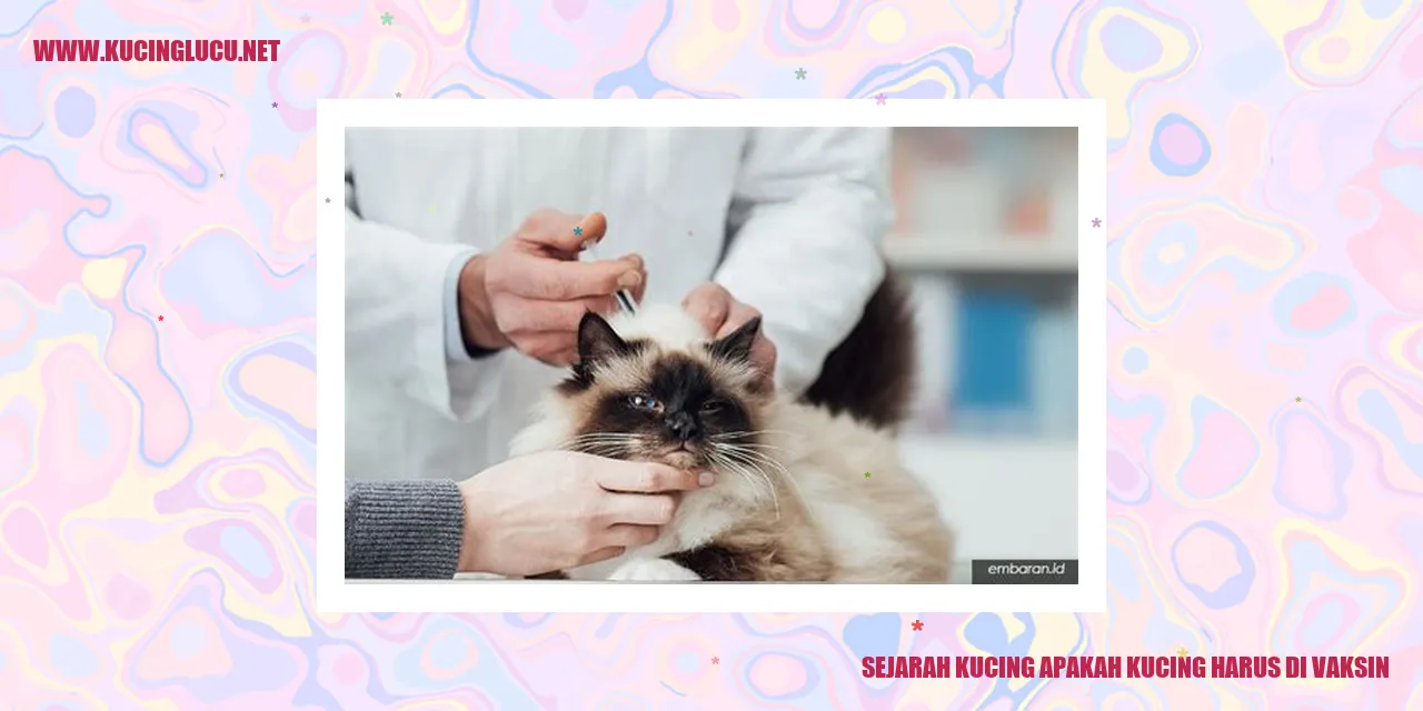 Gambar Kucing