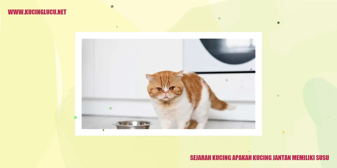 Sejarah Kucing
