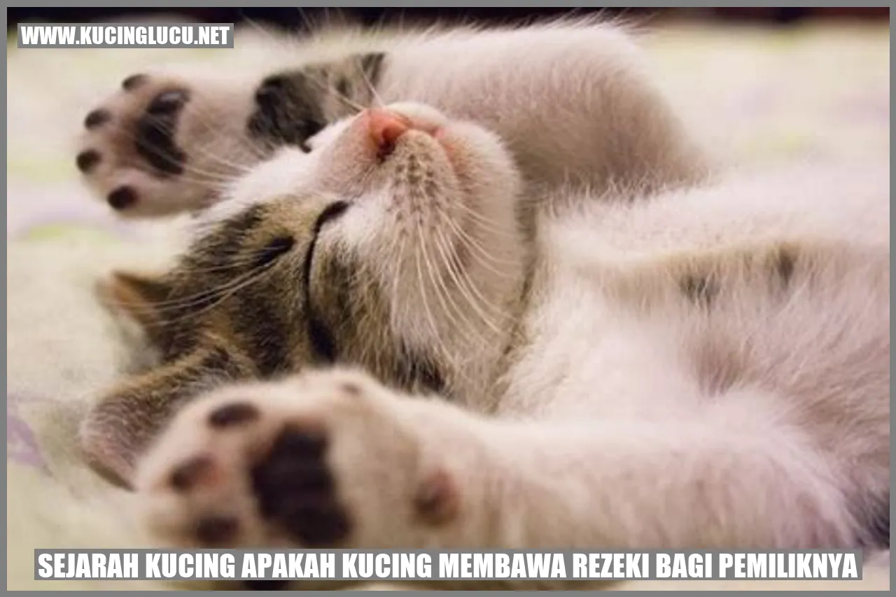 sejarah kucing