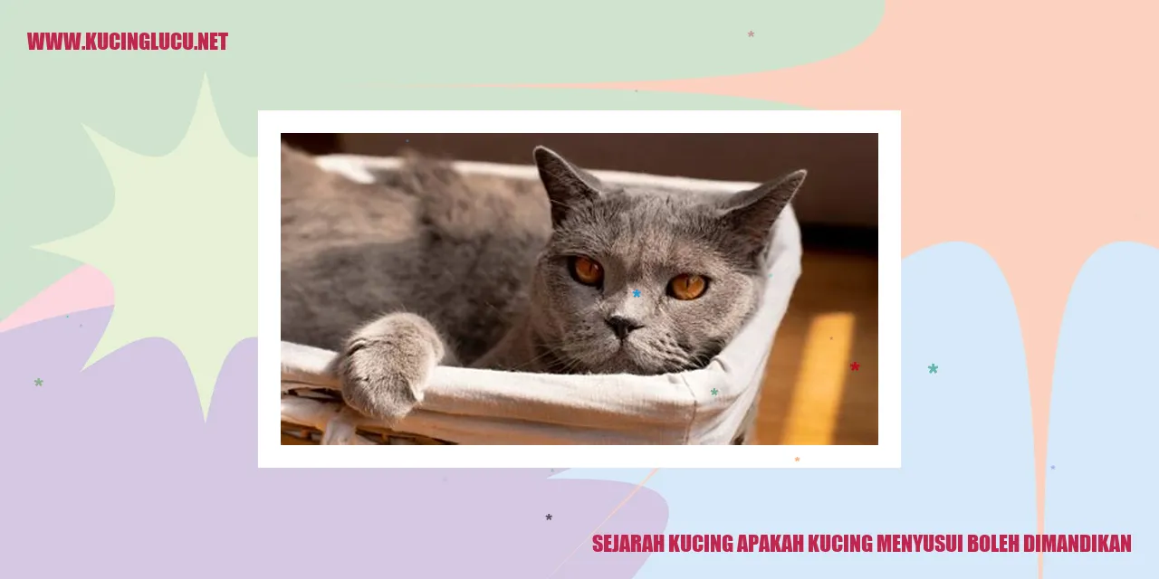 Gambar Kucing