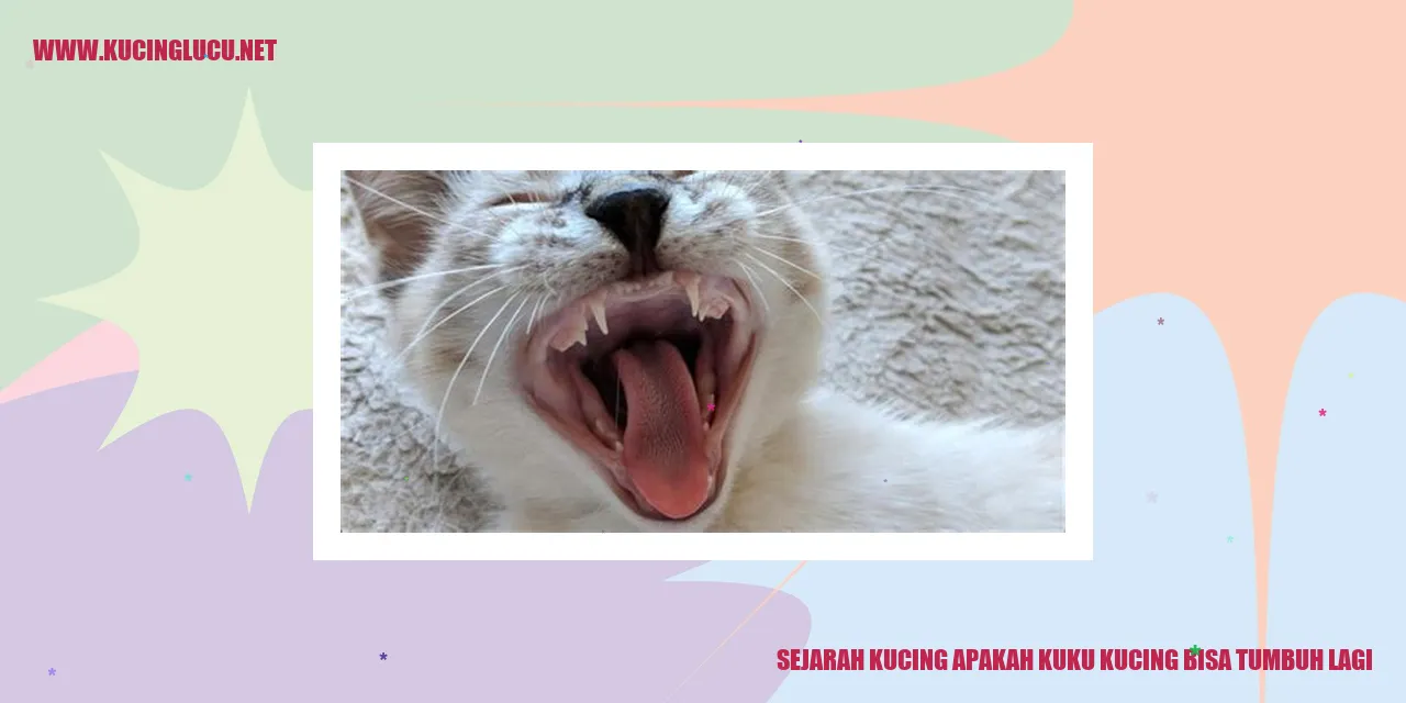 Gambar Kucing