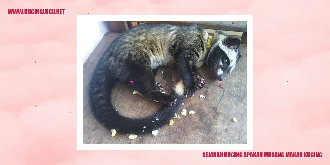 Gambar kucing dan musang
