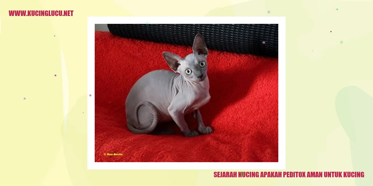 Gambar Kucing