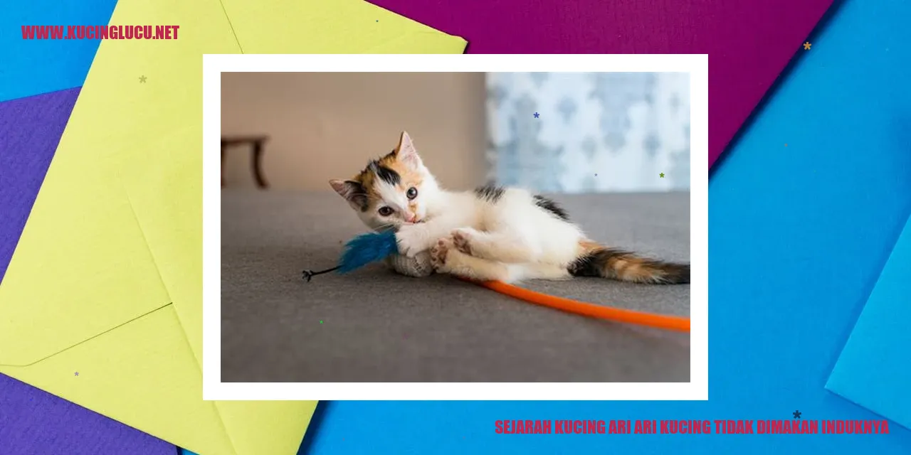 Kucing Arya, Kisah Tanpa Kehilangan Induknya