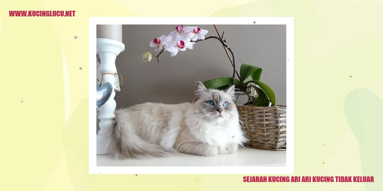 Kucing Lucu