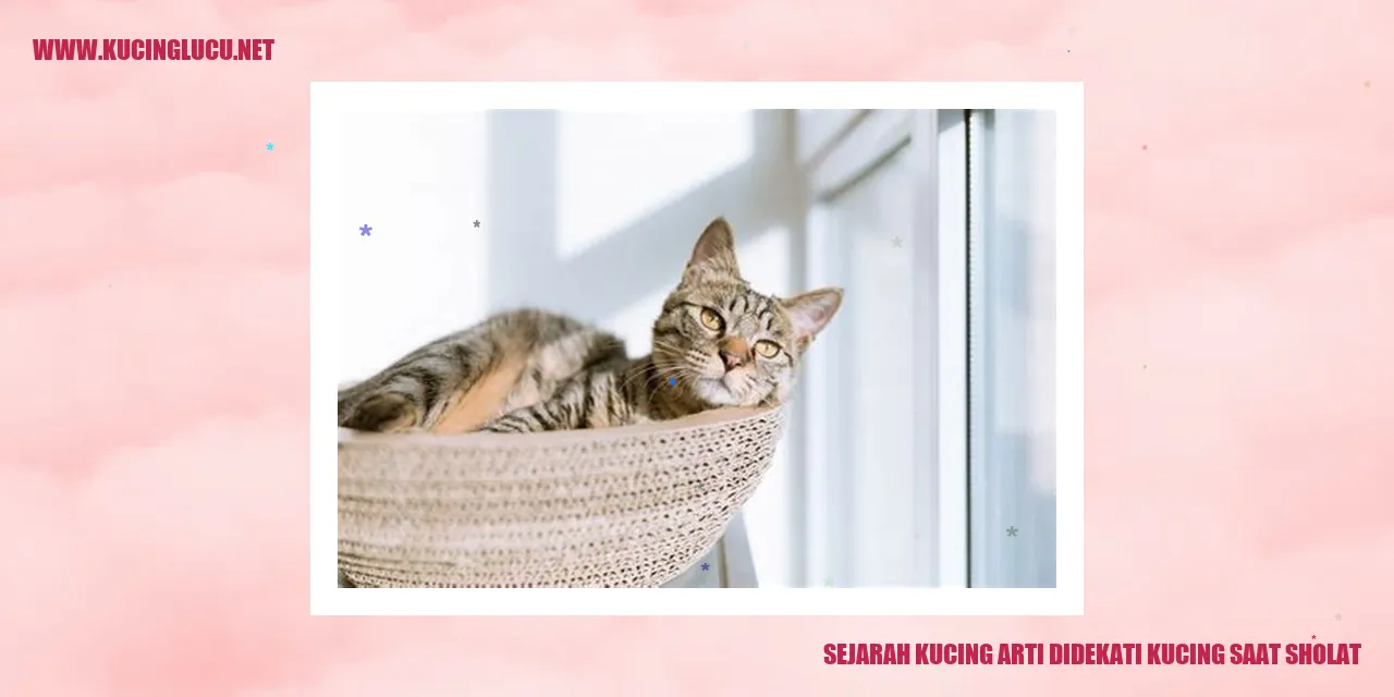 Ilustrasi Kucing