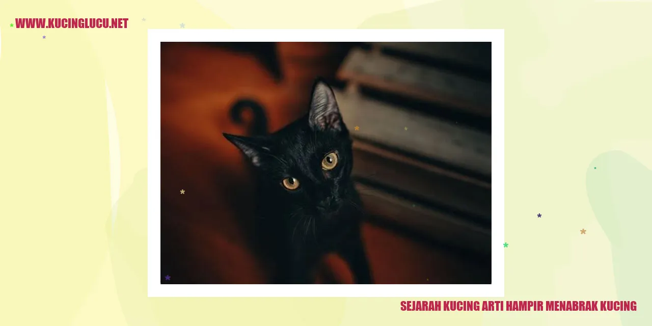 Sejarah Kucing