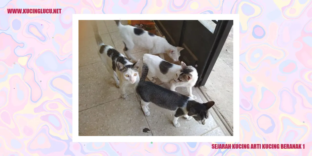 Sejarah Kucing Arti Kucing Beranak 1