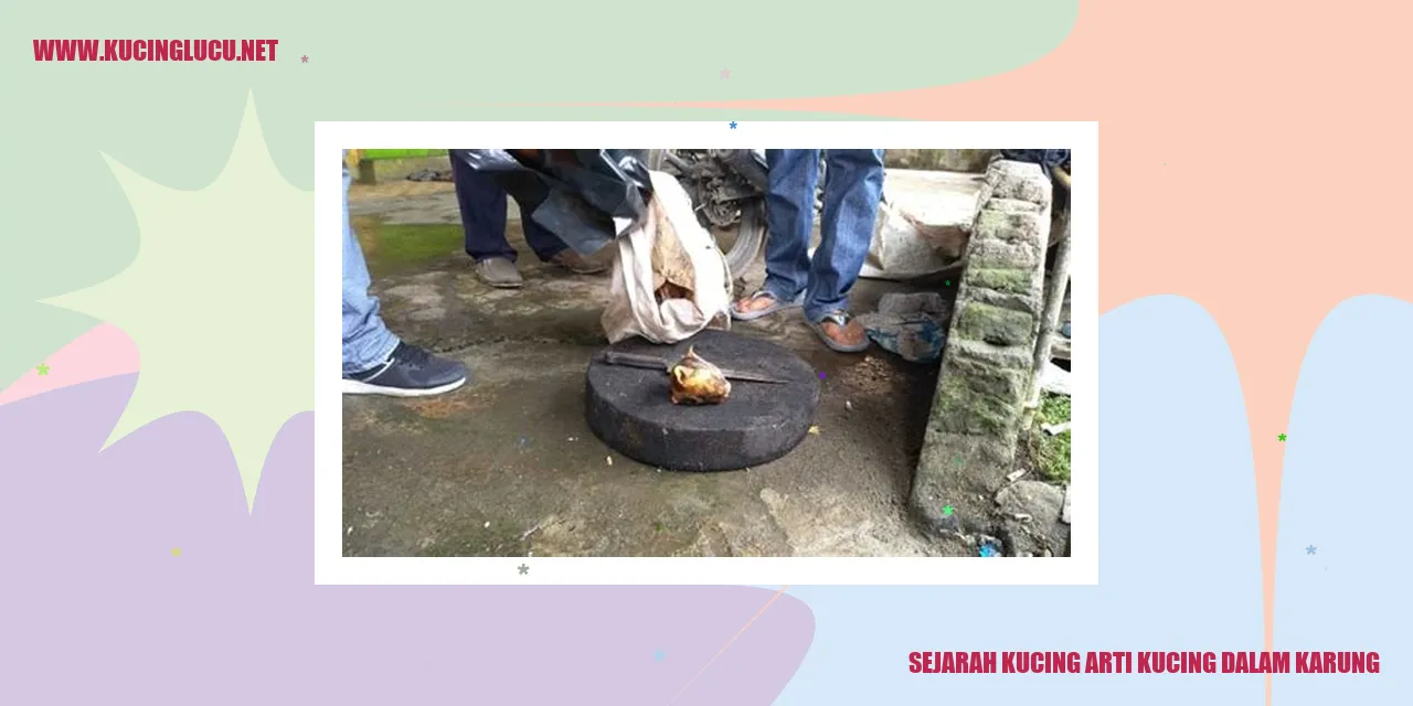 Sejarah Kucing