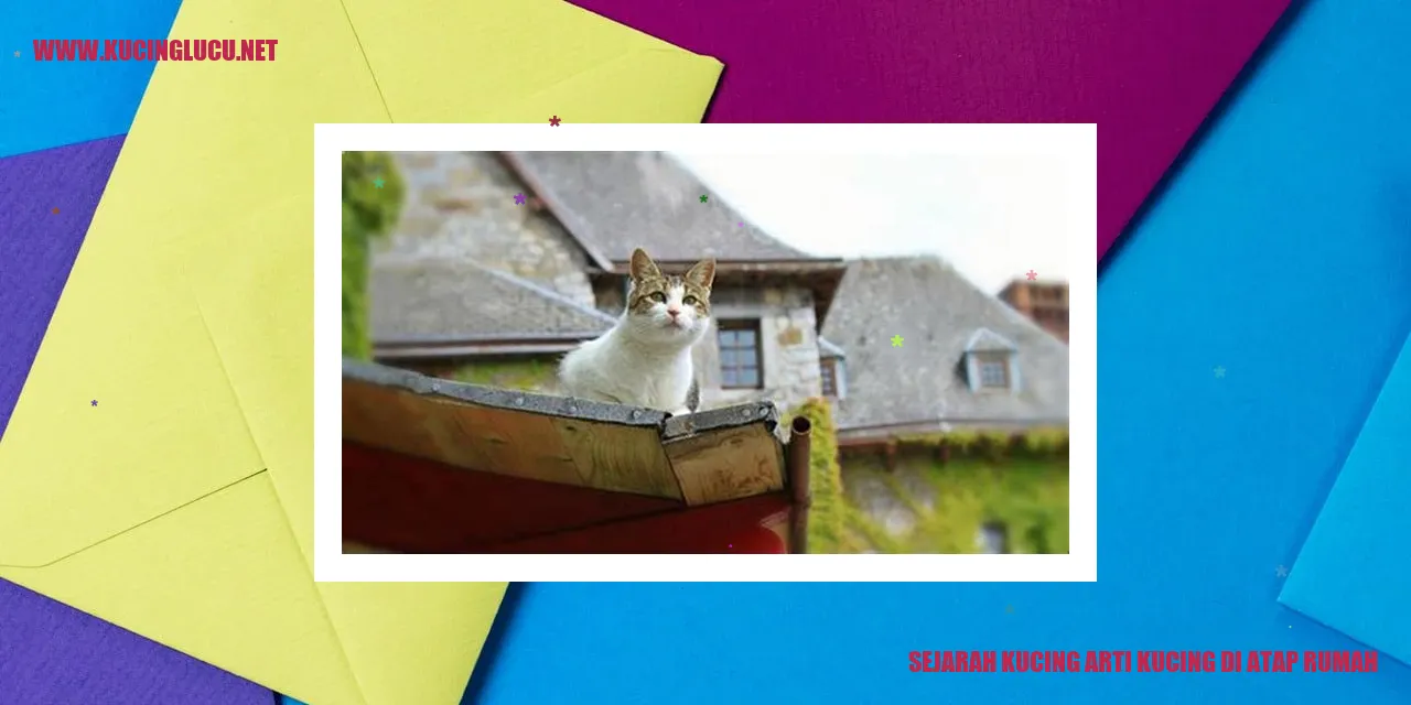 Gambar Kisah Kucing di Atap Rumah