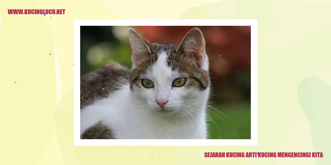 Sejarah Kucing