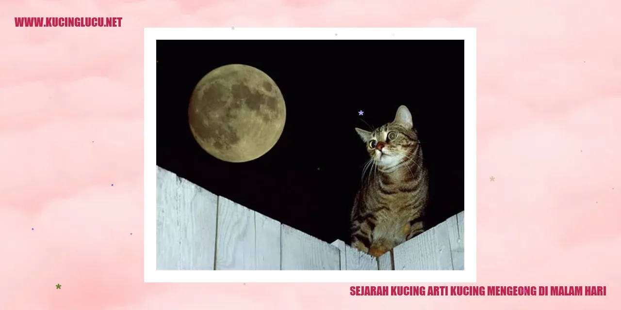 Kucing Mengeong di Malam Hari